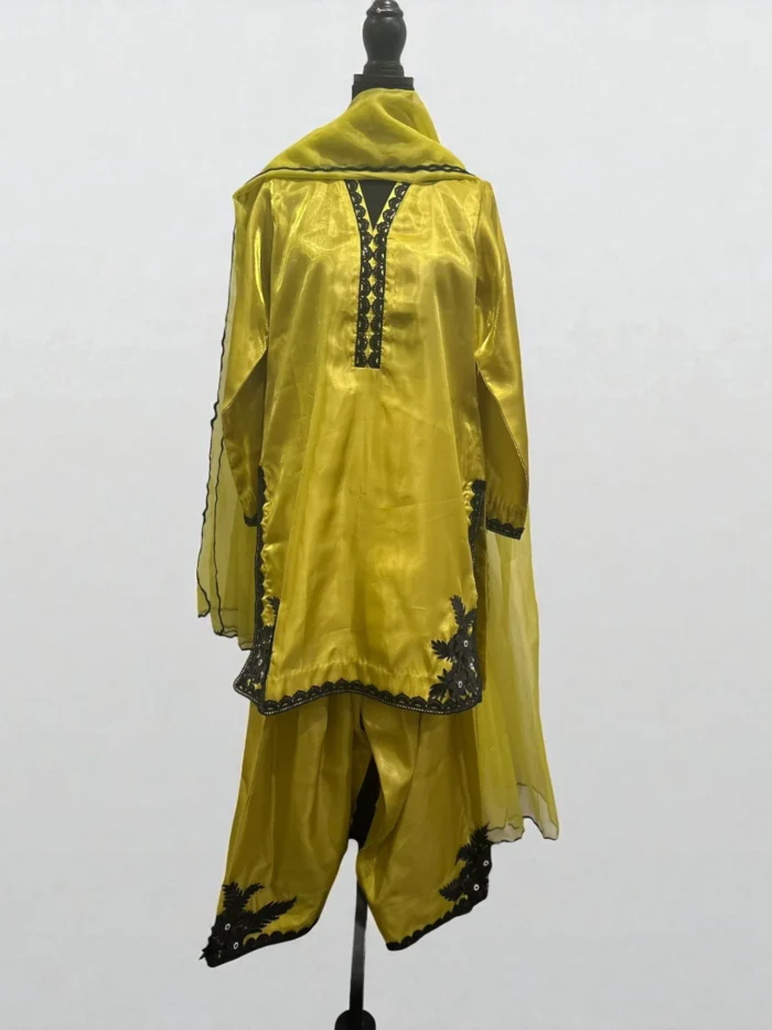 The Mughal Farshi Suit (Dhani)